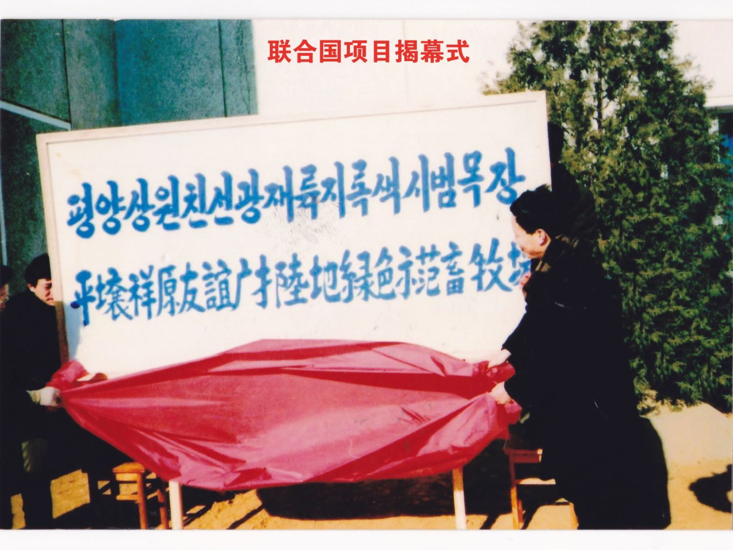 嚴博士的事跡-圖片合集